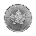 Silver bullion coins