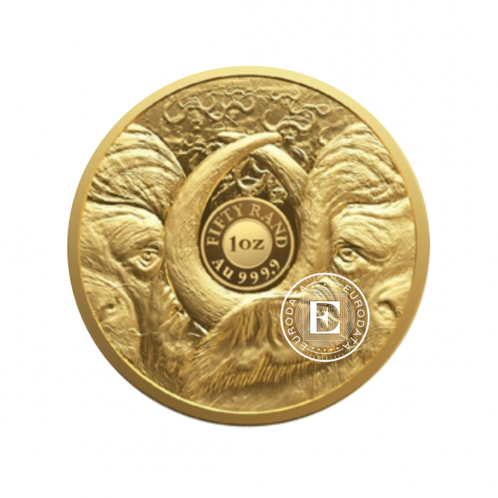 1 oz (31.10 g) gold PROOF coin Big Five – Buffalo, Republic of South Africa 2023 (with sertificate)