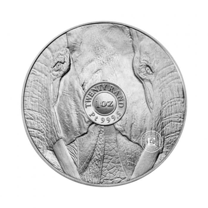 1 oz (31.10 g) pièce de platine Big Five - Elephant, Afrique du Sud 2023