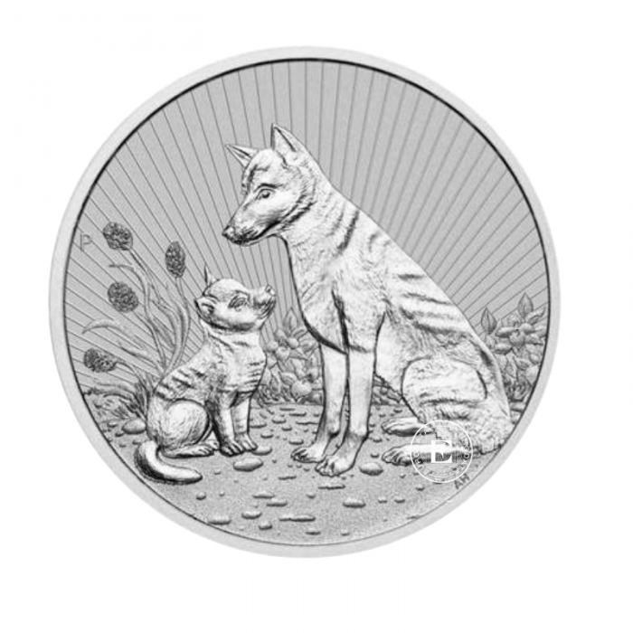 10 oz (311 g) sidabrinė moneta Next Generation - Piedfort Dingo, Australija 2022