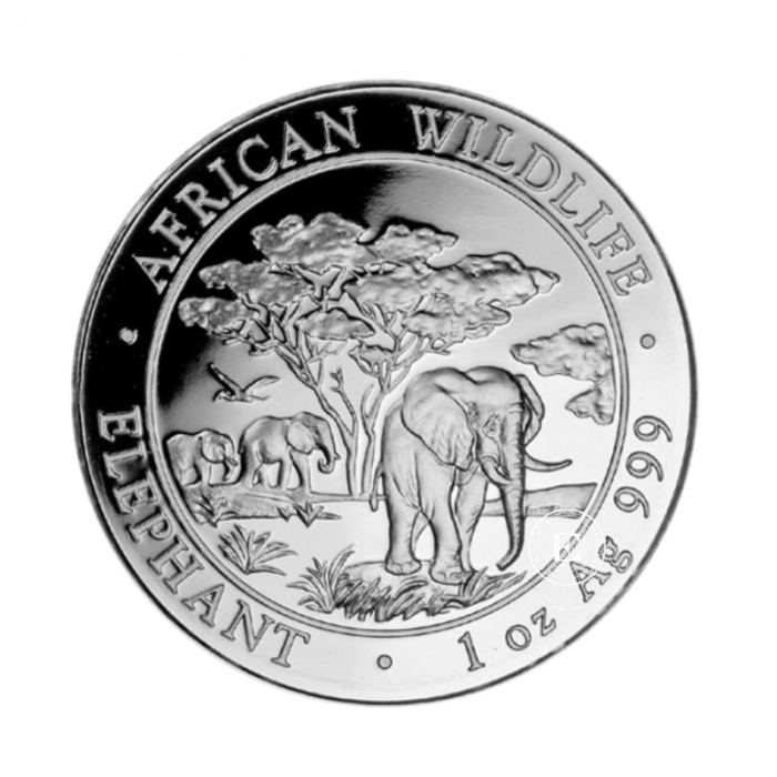 1 oz (31.10 g) silbermünze Afrikanische Tierwelt – Elefant, Somalia 2012