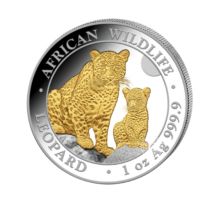 1 oz (31.10 g) silver colored coin African wildlife - Leopard, Somalia 2024 (partially gilded)