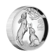 1 oz (31.10 g) pièce d'argent PROOF Lunar Year of the Rabbit, Australia 2023  (high relief)