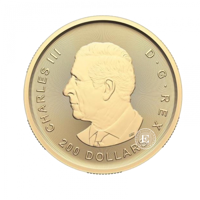 1 oz (31.10 g) auksinė moneta kortelėje Aukso karštinė - From Dore to Refined Gold, Kanada 2024