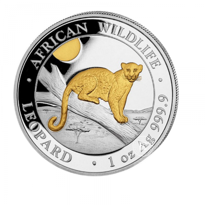 1 oz (31.10 g) sidabrinė moneta Afrikos laukinė gamta - Leopardas, Somalis 2021 (dalinai paauksuota)