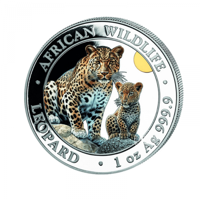 1 oz (31.10 g) sidabrinė spalvota moneta Afrikos laukinė gamta - Leopardas, Somalis 2024