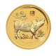 1/2 oz (15.55 g) gold coin Lunar II - Year of the Pig, Australia 2019