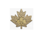 1/4 oz (7.78 g) gold coin Maple Leaf, Canada 2024