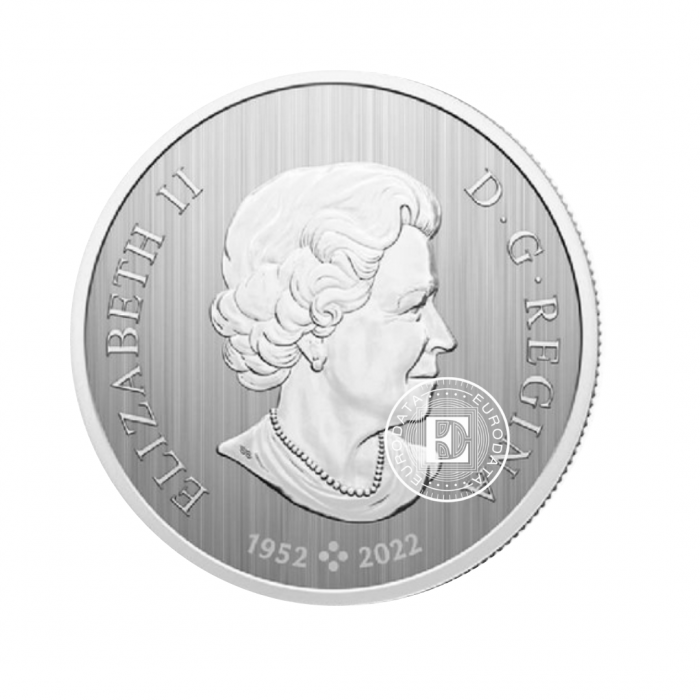 8 dolerių (7.96 g) sidabrinė moneta kortelėje Drakono metai,  Kanada 2024