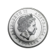 1 oz (31.10 g) sidabrinė moneta Voras piltuvininkas, Australija 2015